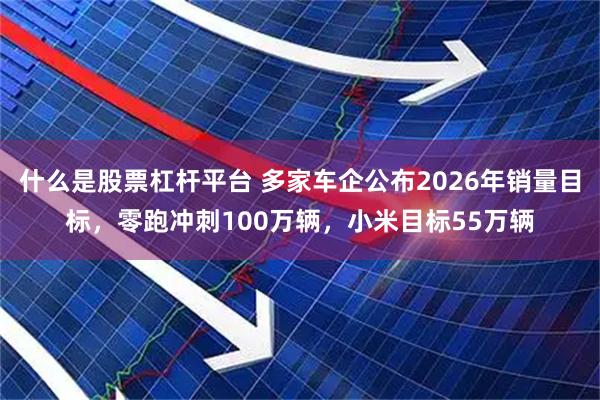 什么是股票杠杆平台 多家车企公布2026年销量目标，零跑冲刺100万辆，小米目标55万辆