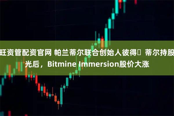 鑫旺资管配资官网 帕兰蒂尔联合创始人彼得・蒂尔持股曝光后，Bitmine Immersion股价大涨