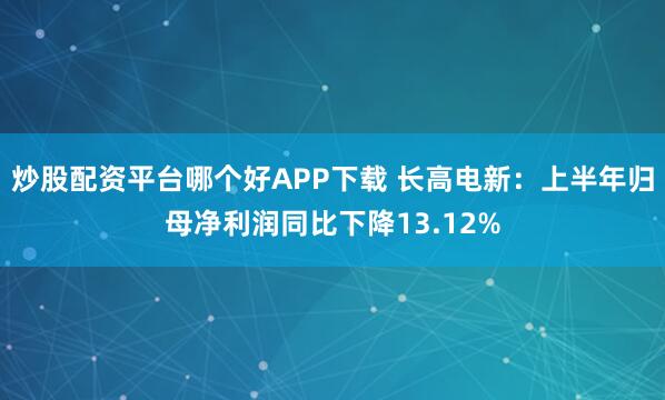 炒股配资平台哪个好APP下载 长高电新：上半年归母净利润同比下降13.12%