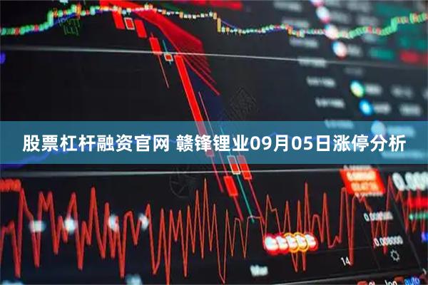 股票杠杆融资官网 赣锋锂业09月05日涨停分析